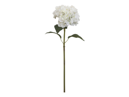 Chic Antique - Fleur Hortensia m. blade